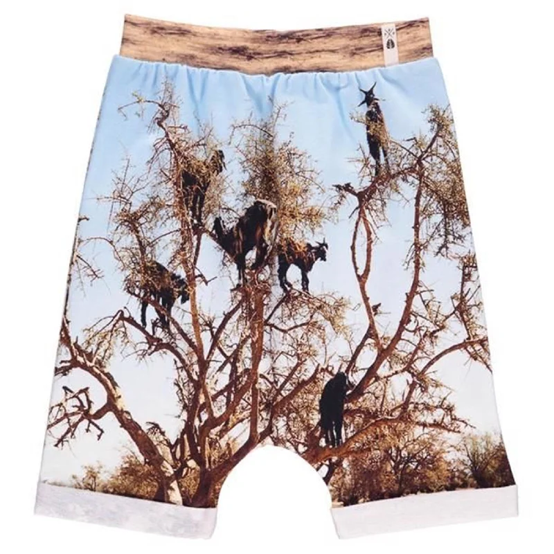 Sweet Lace Design Popupshop Goat Tree Baggy Shorts